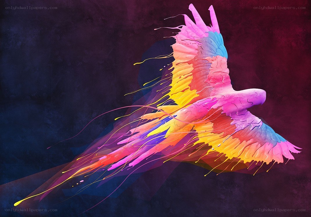 Colorful bird in flight