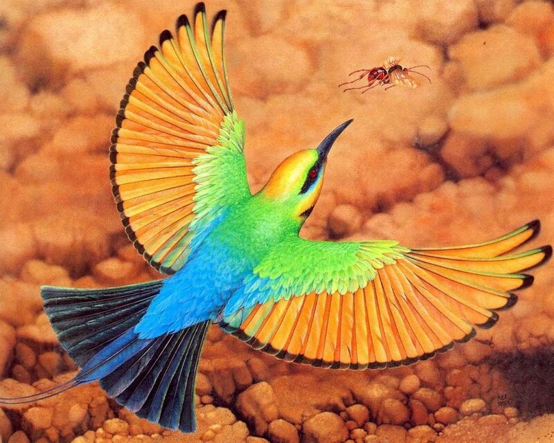 Colorful Bird in Flight — Green, Dynamic, Illustration