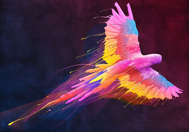 Colorful Bird in Flight — Pink, Dynamic