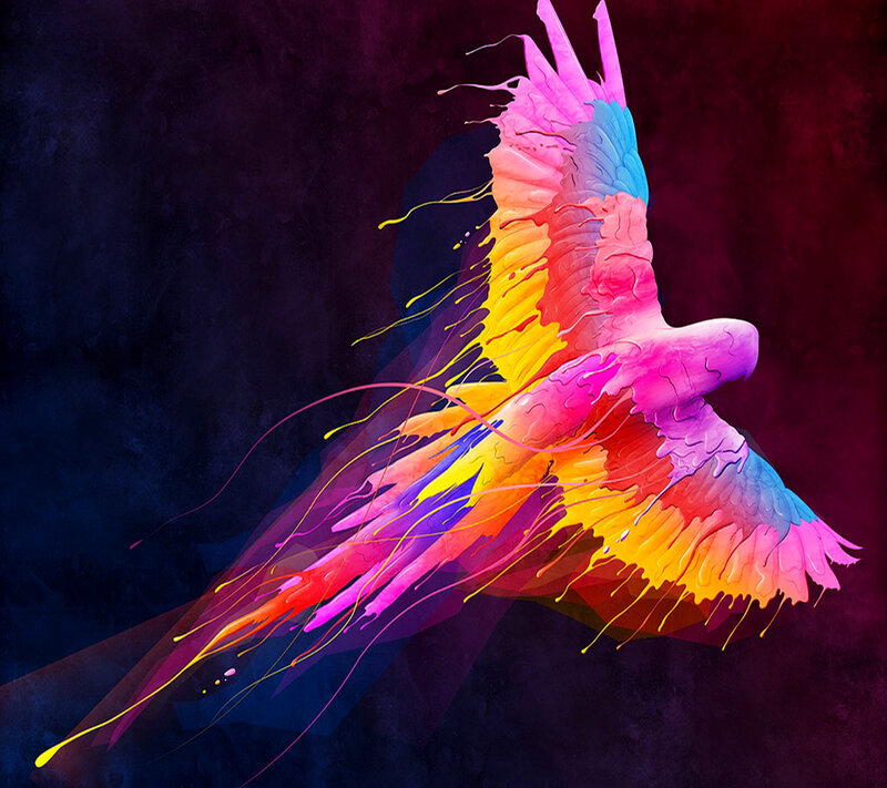 Colorful Bird in Flight — Pink