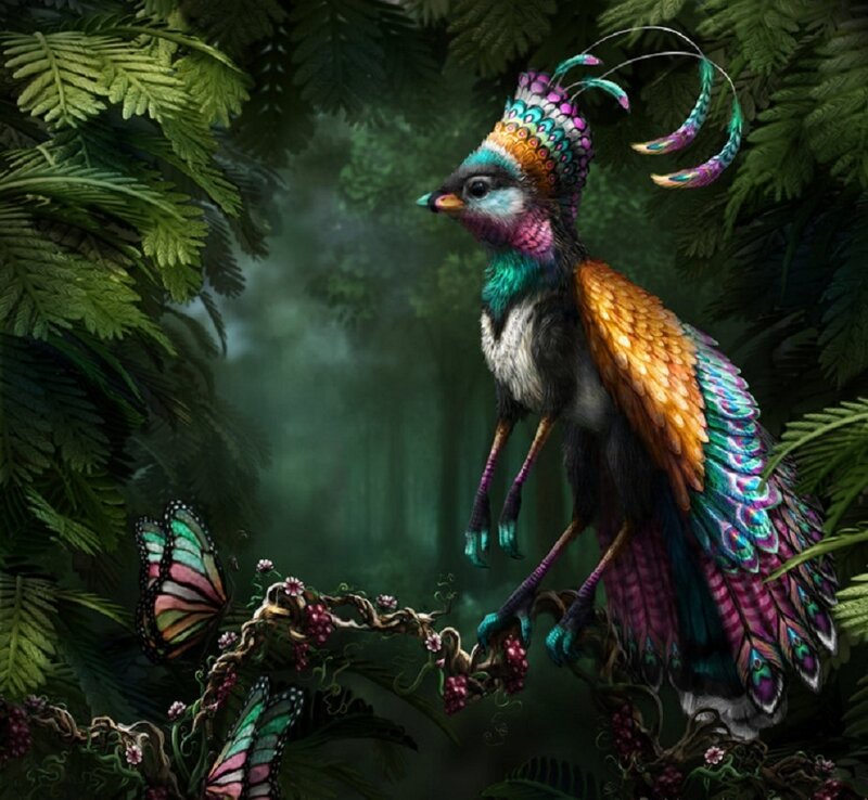 Colorful Bird in Forest