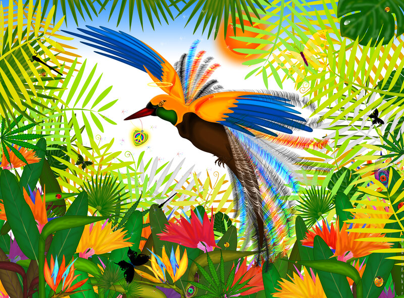 Colorful Bird in Jungle