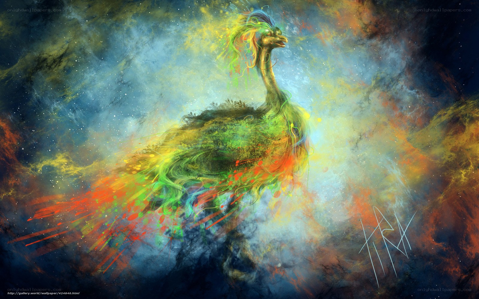 colorful bird in space