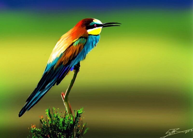 colorful bird on a branch