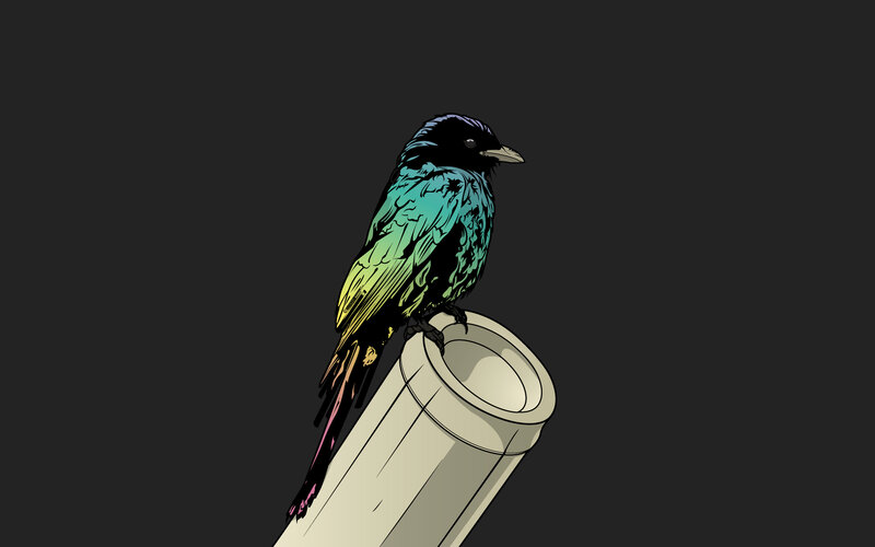 colorful bird on a pipe
