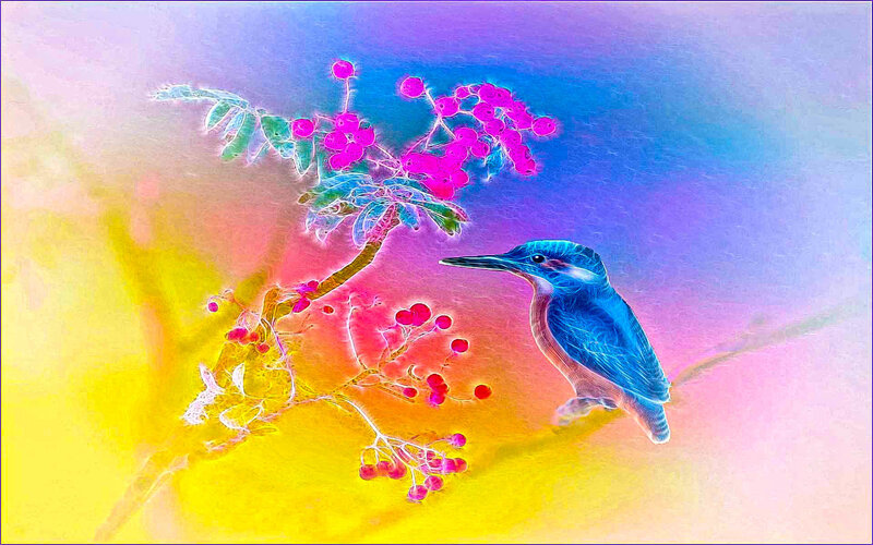 colorful bird on branch