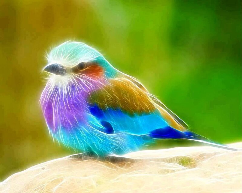 Colorful Bird on Branch — Blue, Vibrant, Digital Art