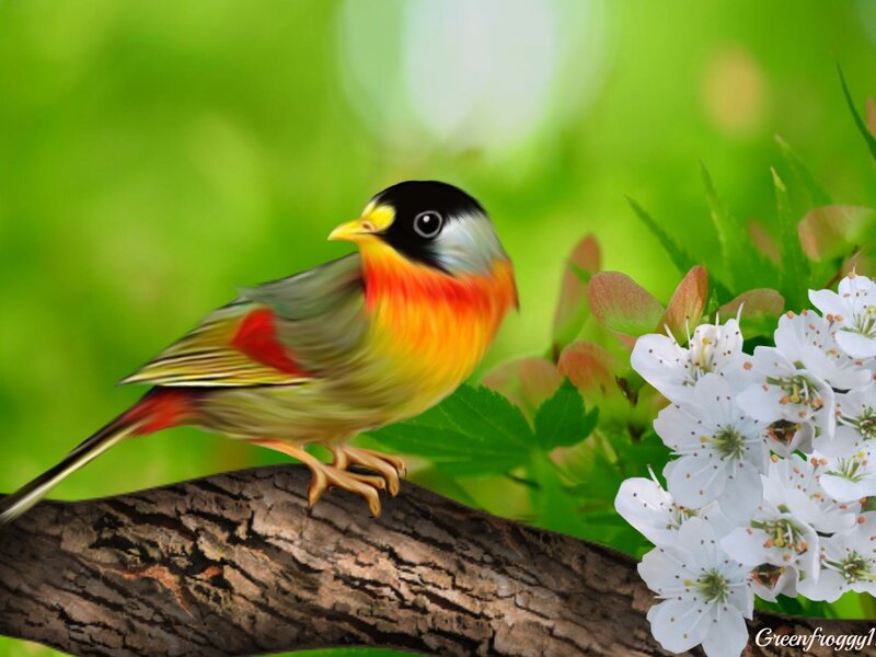 Colorful Bird on Branch — Green, Serene, Spring, Digital Art