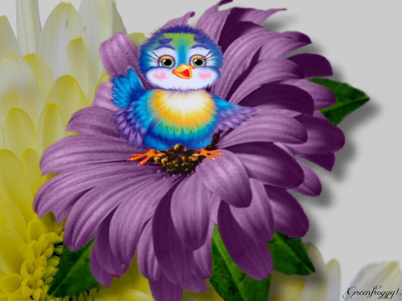 Colorful Bird on Flower — Purple