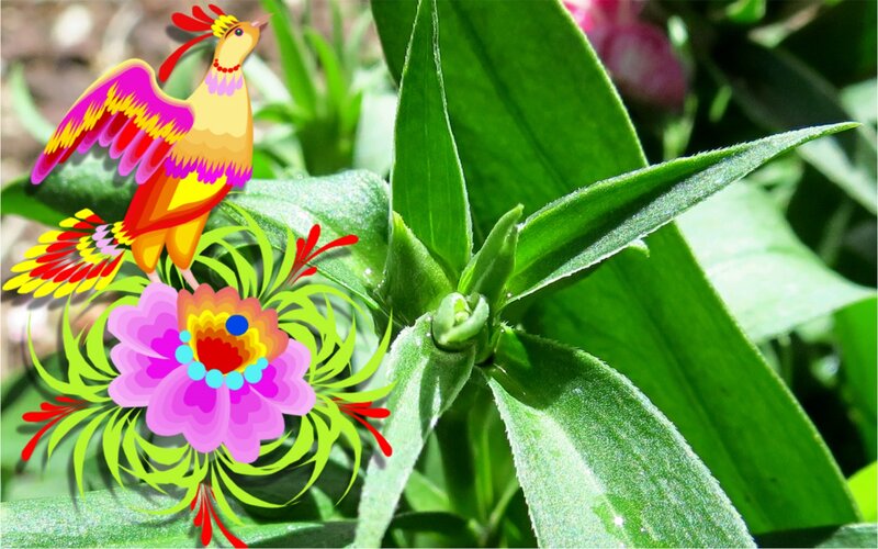 Colorful Bird on Flower