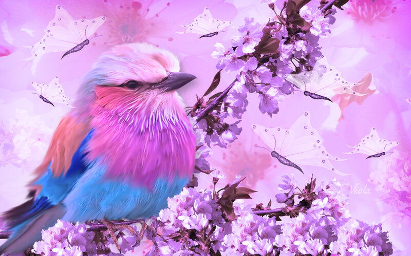 Colorful Bird on Flowers