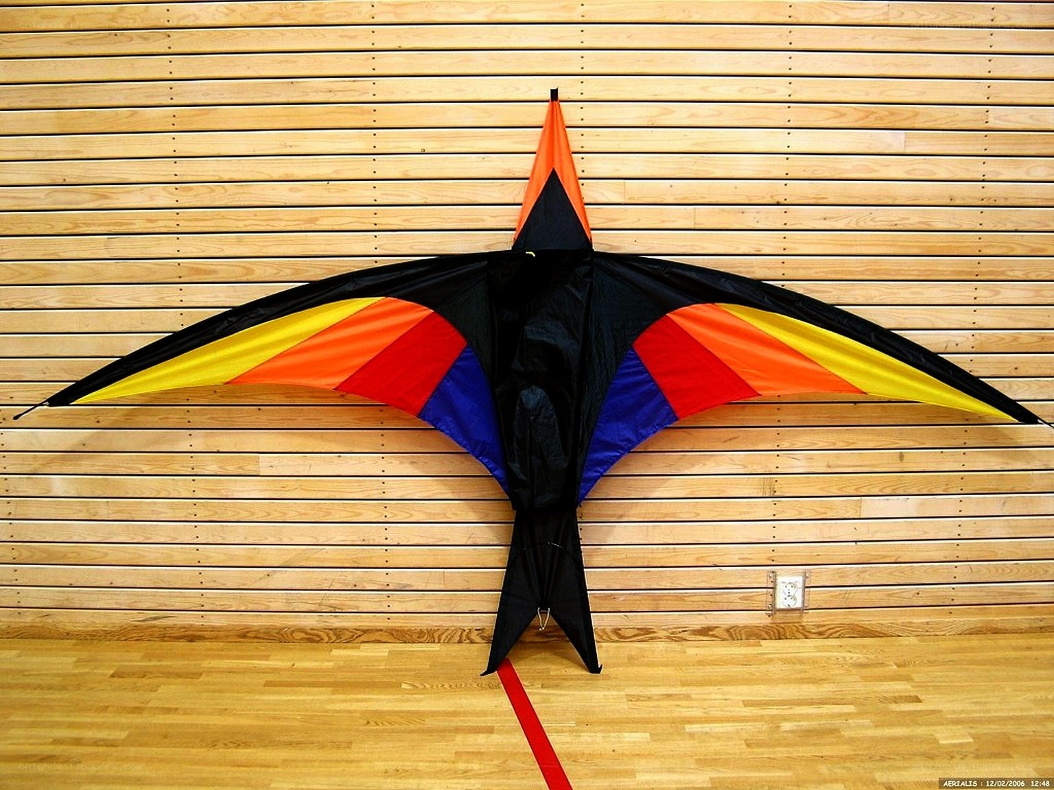 Colorful bird-shaped kite