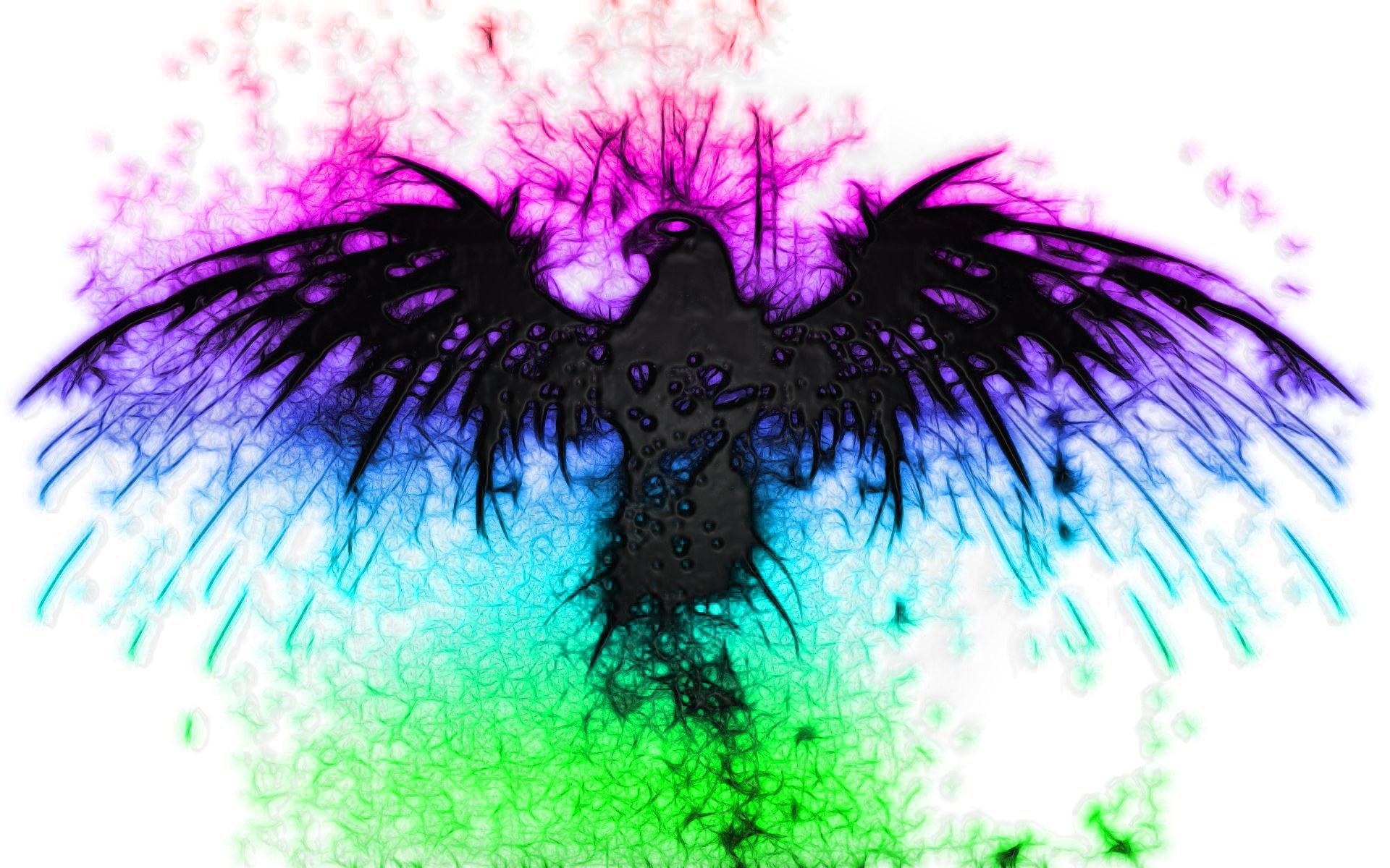 colorful bird silhouette