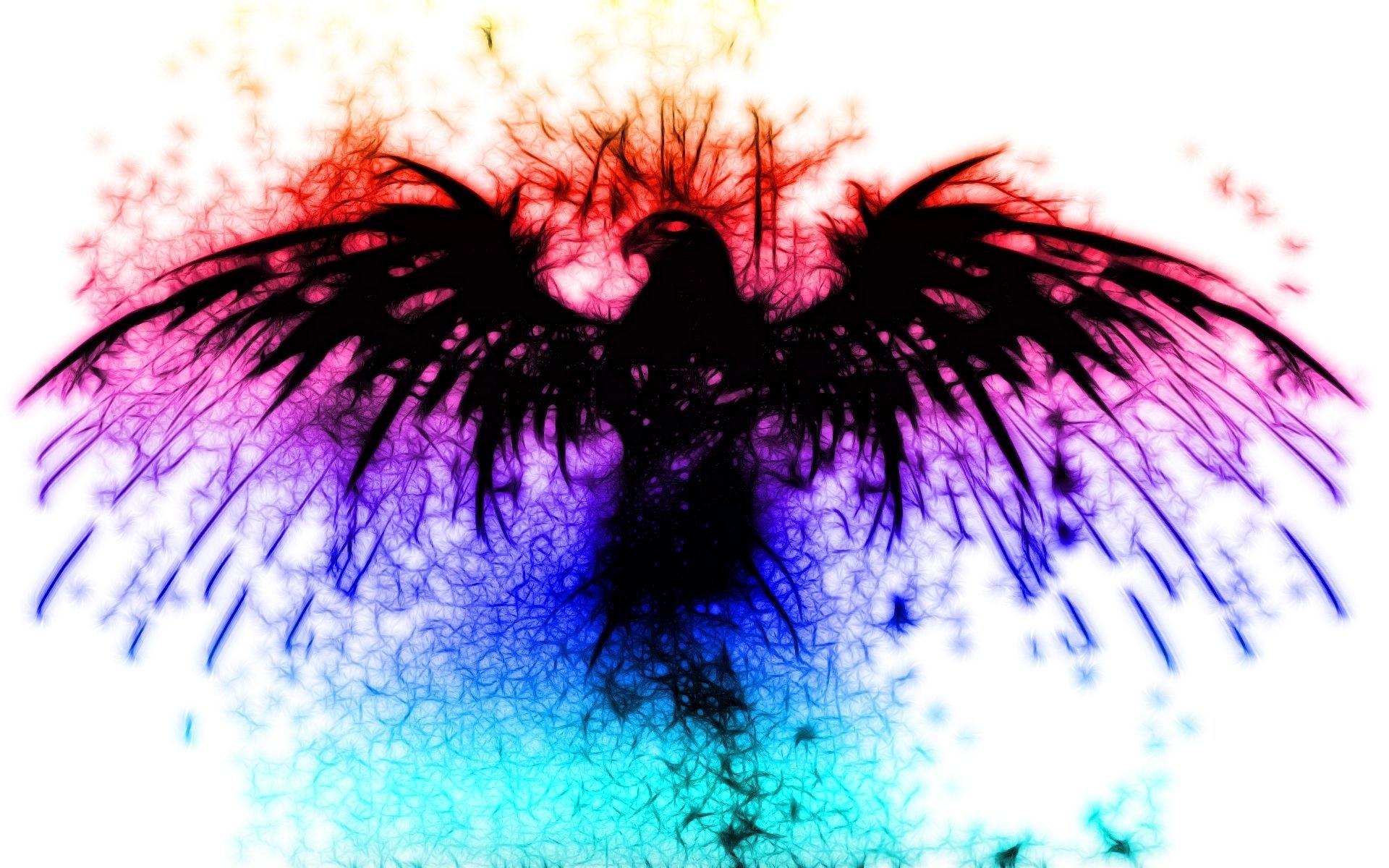 colorful bird silhouette
