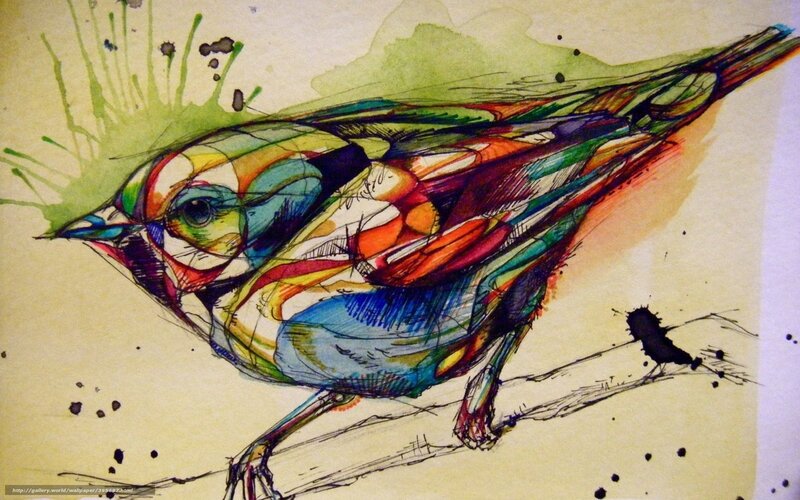 Colorful bird sketch art