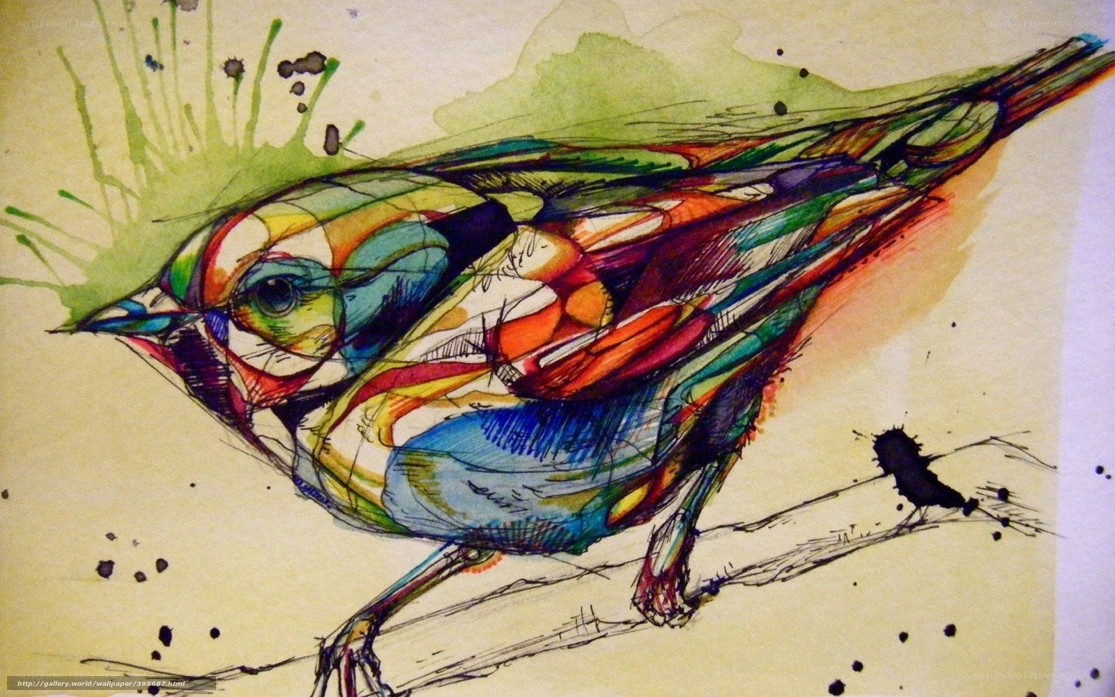 Colorful bird sketch art