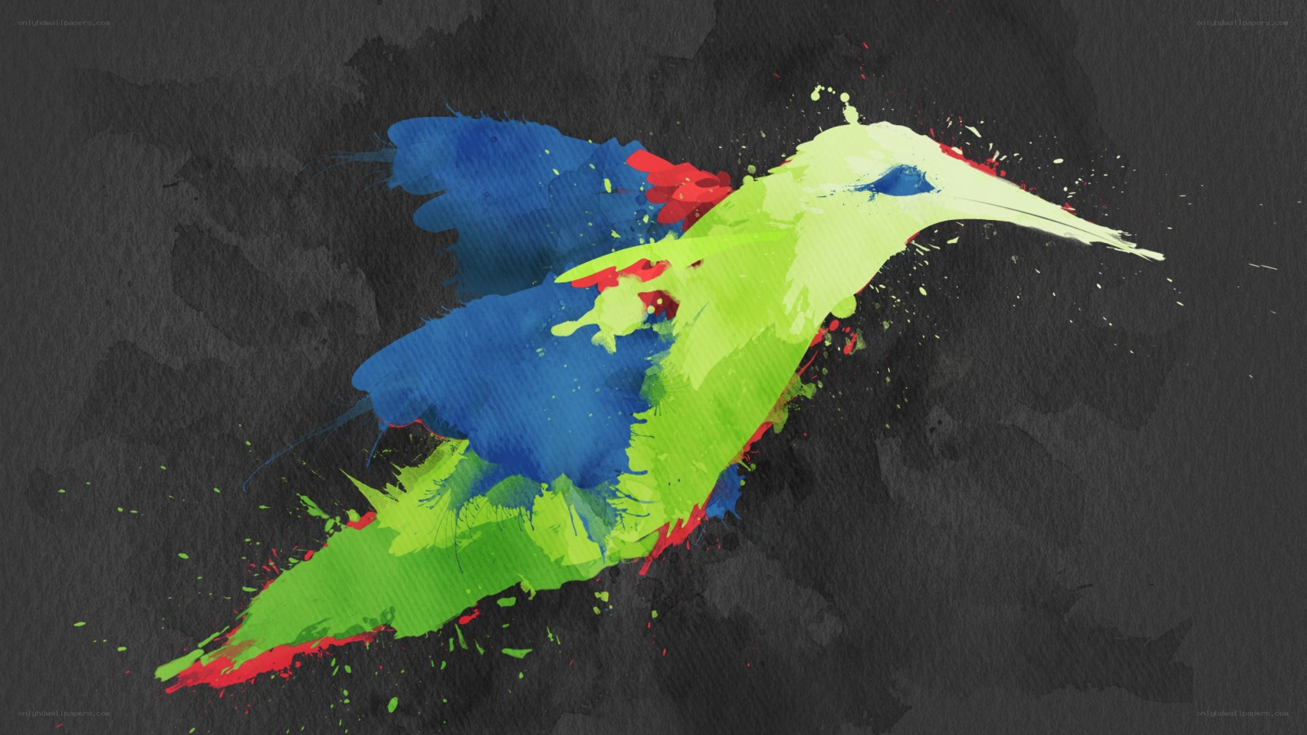 colorful bird splash art