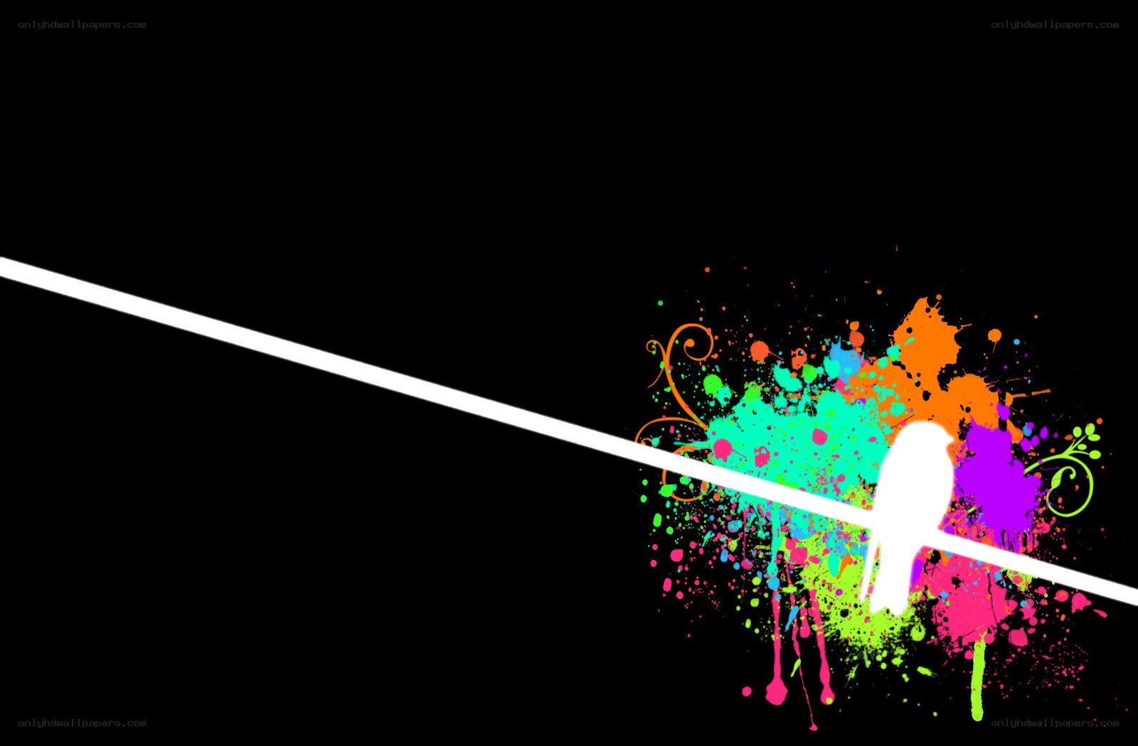 colorful bird splatter art