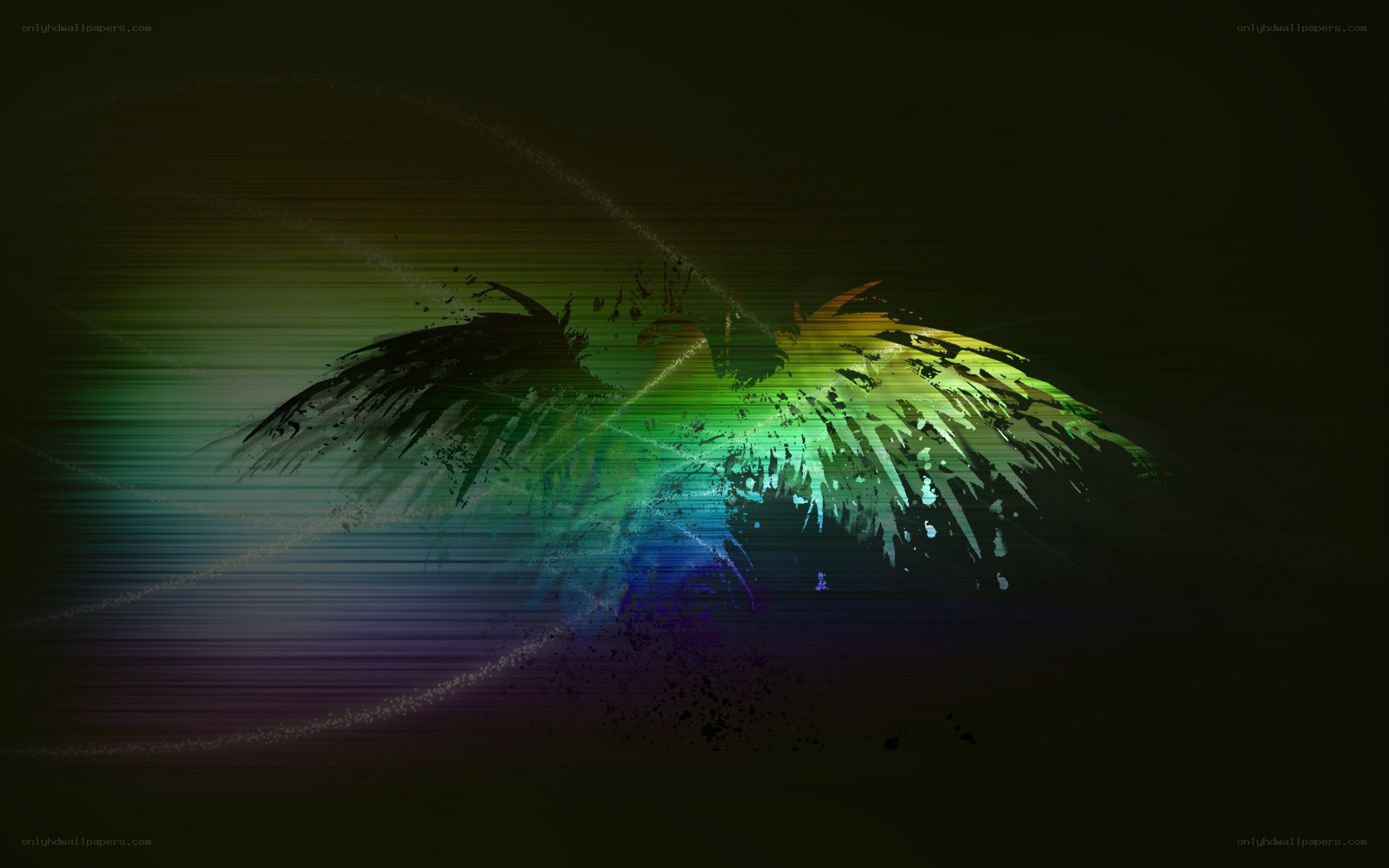 colorful bird wings abstract