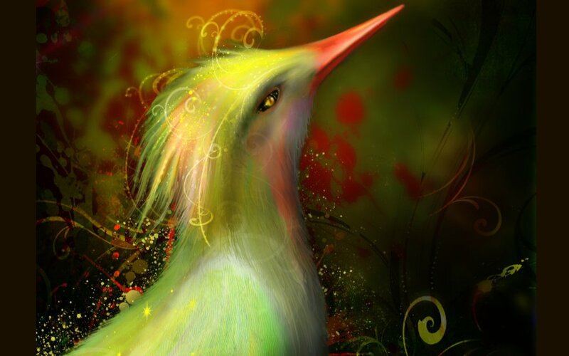 Colorful Bird with Long Beak