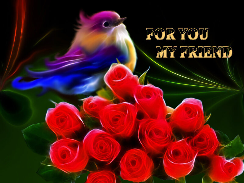 Colorful Bird with Roses