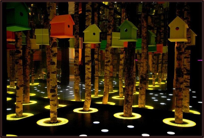Colorful birdhouses in mirrored forest