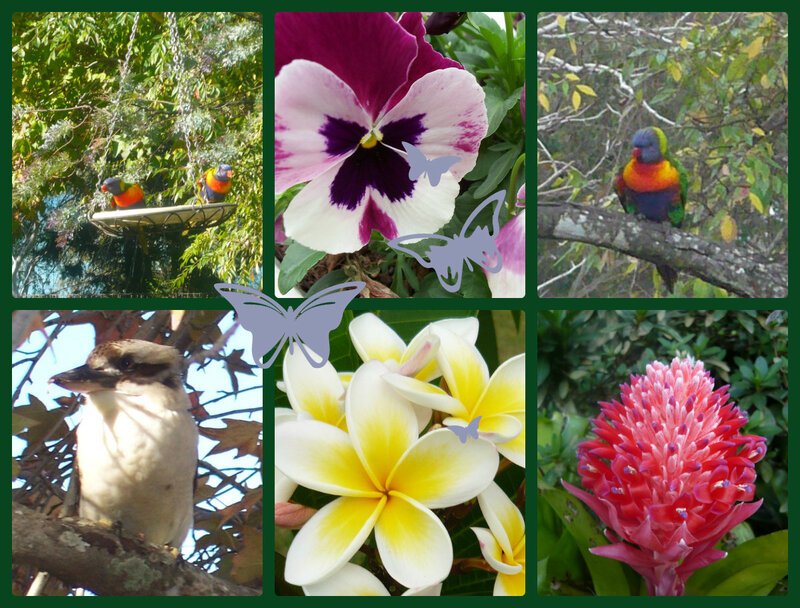 Colorful Birds and Flowers — Green