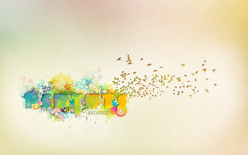 colorful birds flying art