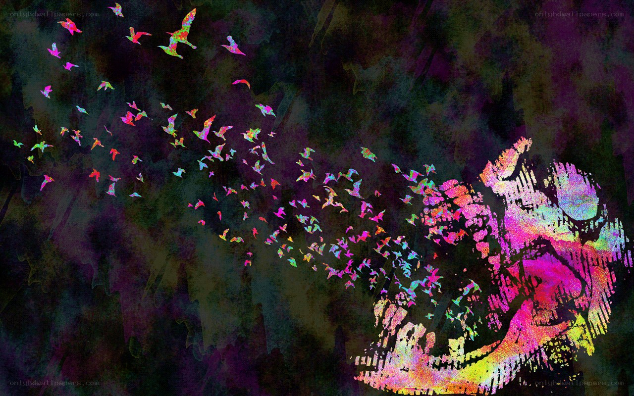 colorful birds flying from skull