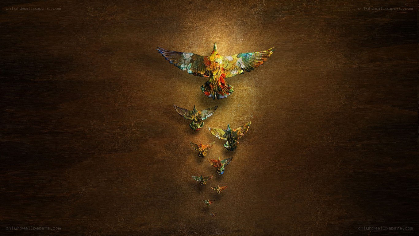 Colorful birds in flight