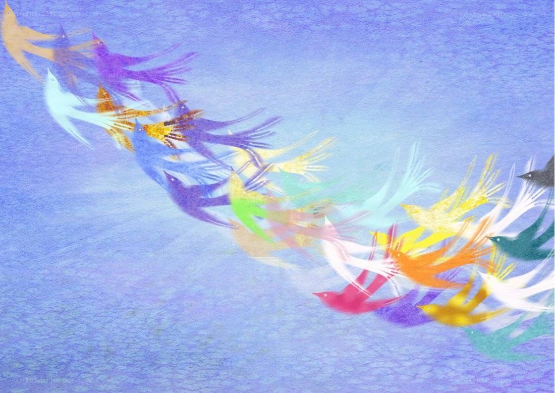 Colorful birds in flight