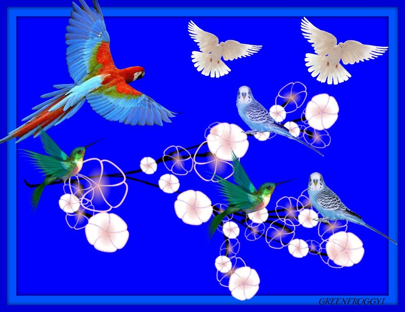 Colorful Birds in Flight — Blue, Vibrant