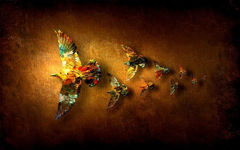 Colorful Birds in Flight — Brown, Dramatic, Digital Art, Light, Yellow