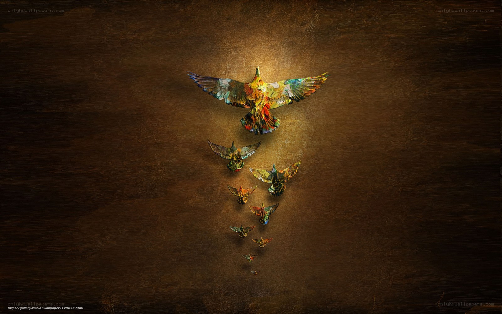 Colorful birds in flight