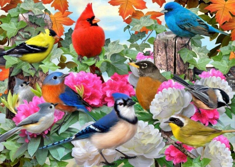 Colorful Birds in Flowers — Blue
