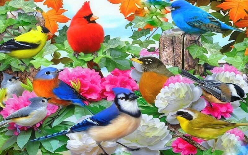 Colorful Birds in Flowers — Blue, Vibrant