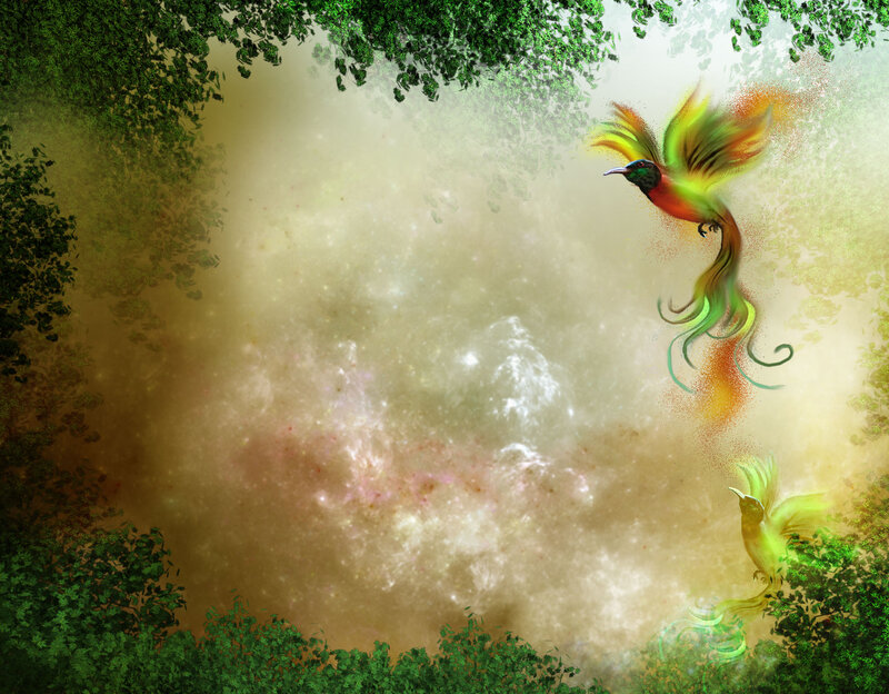 Colorful Birds in Forest — Green