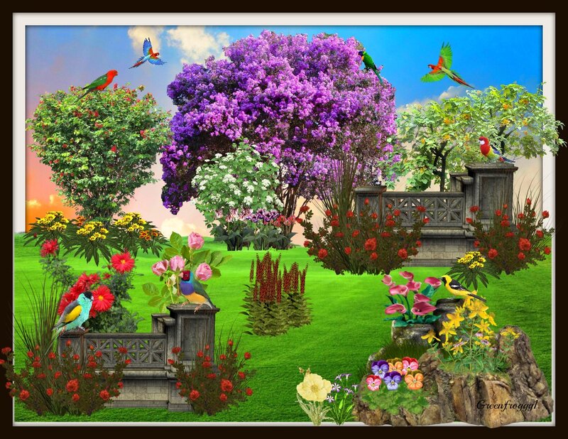 Colorful Birds in Garden — Green