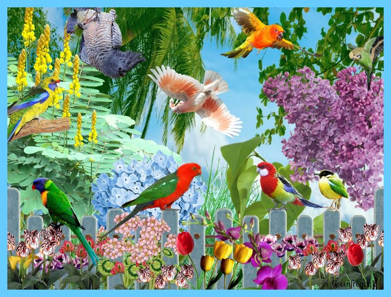 Colorful Birds in Garden