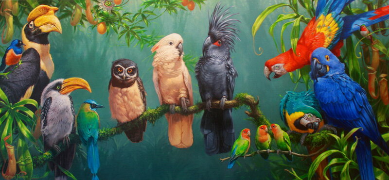 Colorful Birds in Jungle — Green