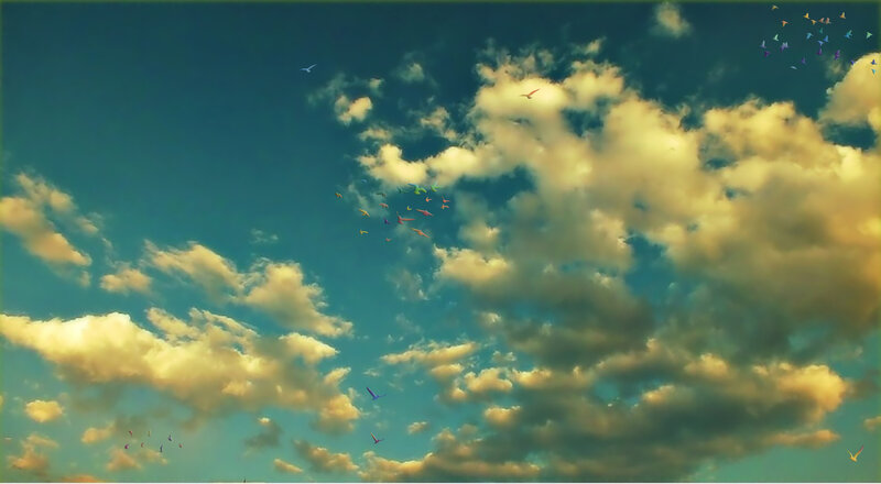 Colorful Birds in Sky