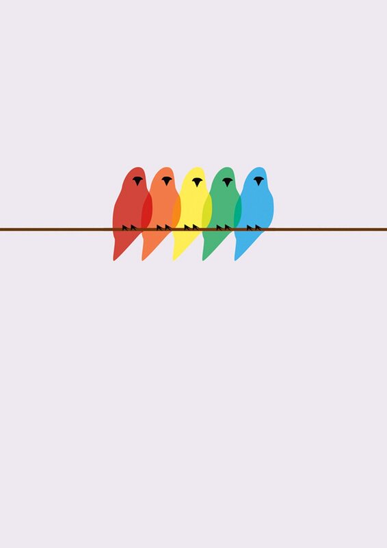 colorful birds on a wire
