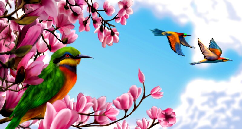 Colorful Birds on Blossoms