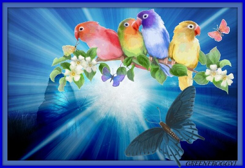 Colorful Birds on Branch — Blue