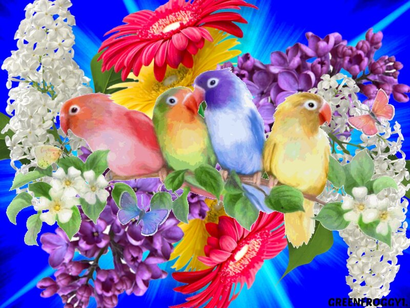 Colorful Birds on Branch — Blue, Vibrant