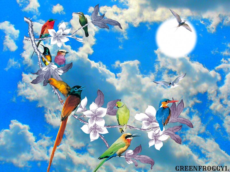 Colorful Birds on Branches — Blue, Serene