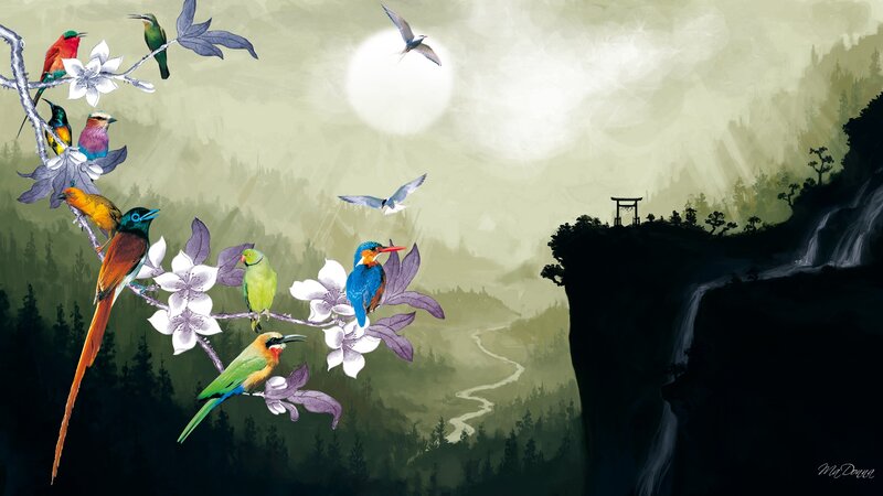 Colorful Birds on Branches — Green, Serene, Night