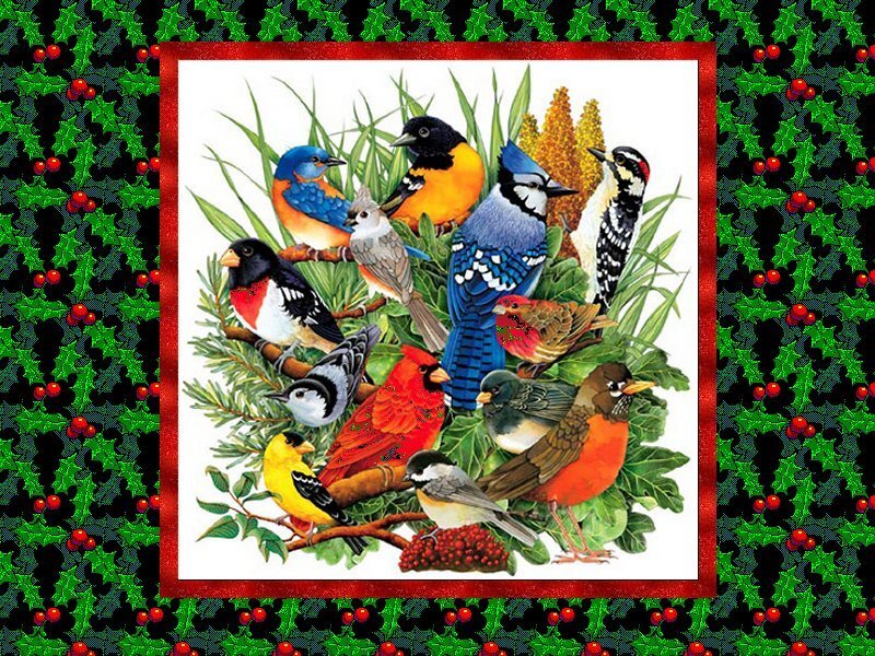 Colorful Birds on Branches — Green