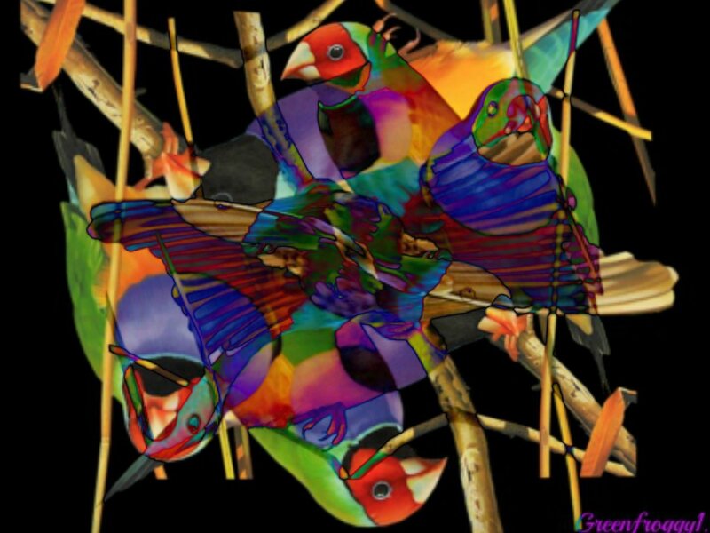 Colorful Birds on Branches — Green, Vibrant