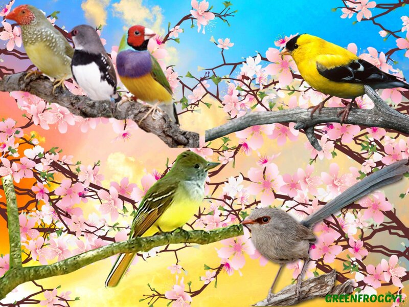 Colorful Birds on Branches — Yellow, Bright